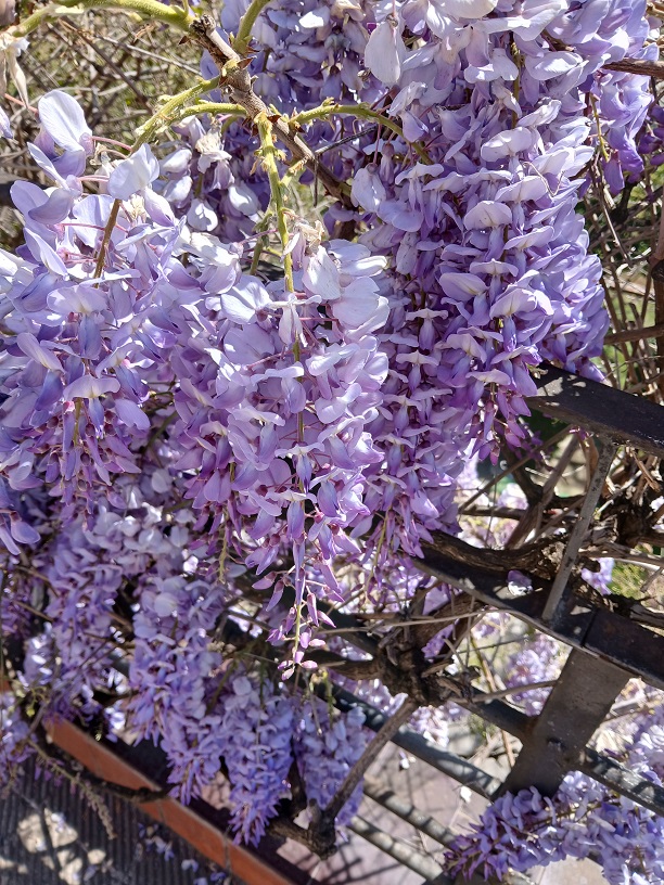 No s'ha trobat l'arxiu